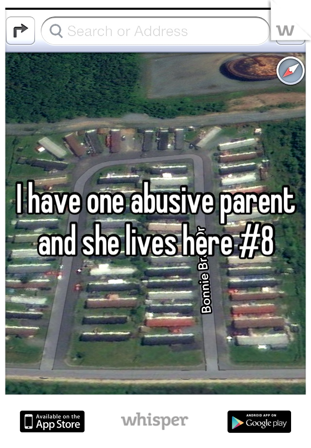 I have one abusive parent and she lives here #8