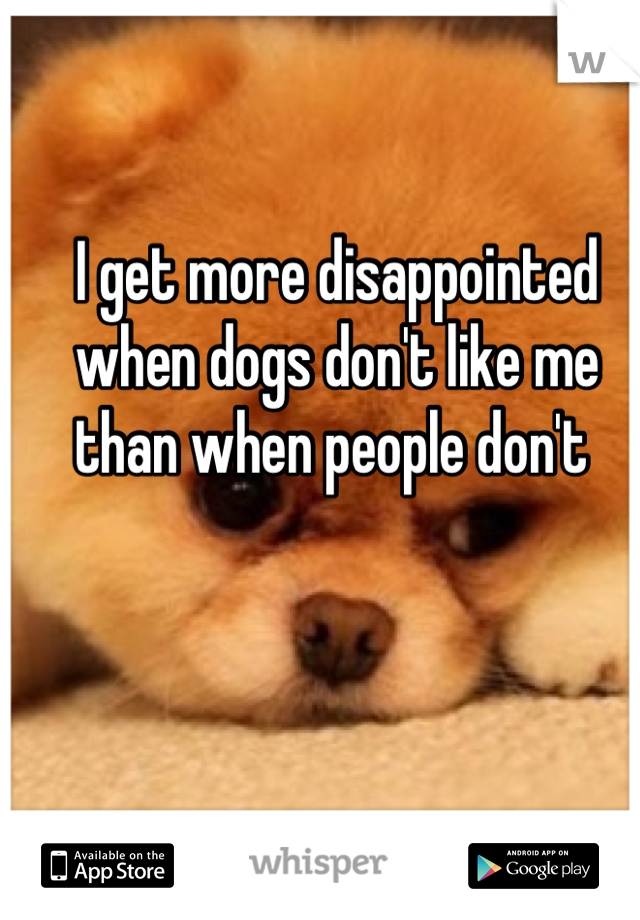 I get more disappointed when dogs don't like me than when people don't 