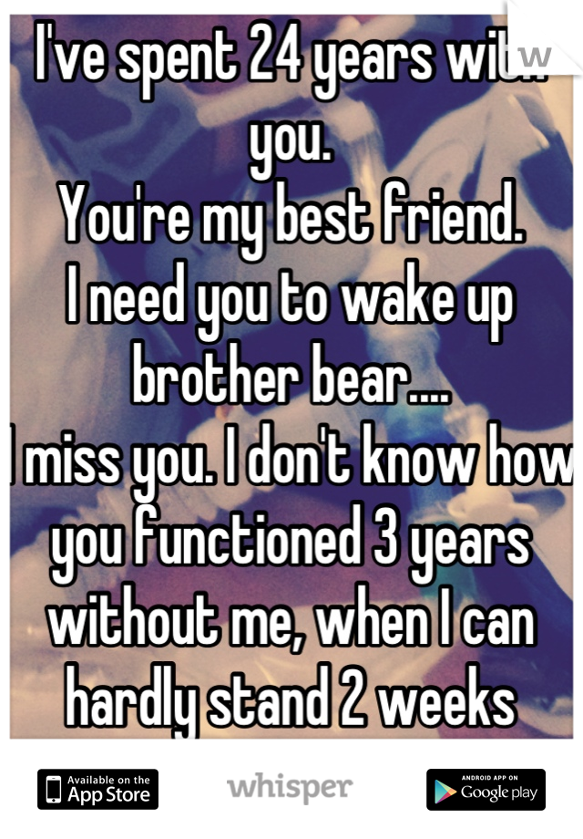 I've spent 24 years with you. 
You're my best friend.
I need you to wake up brother bear....
I miss you. I don't know how you functioned 3 years without me, when I can hardly stand 2 weeks without you