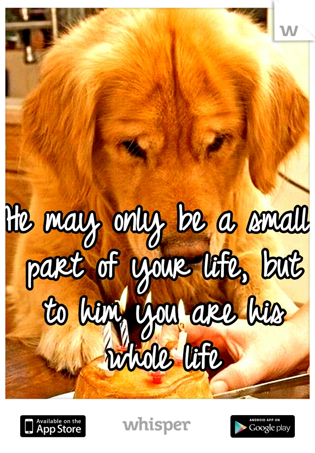 He may only be a small part of your life, but to him you are his whole life
