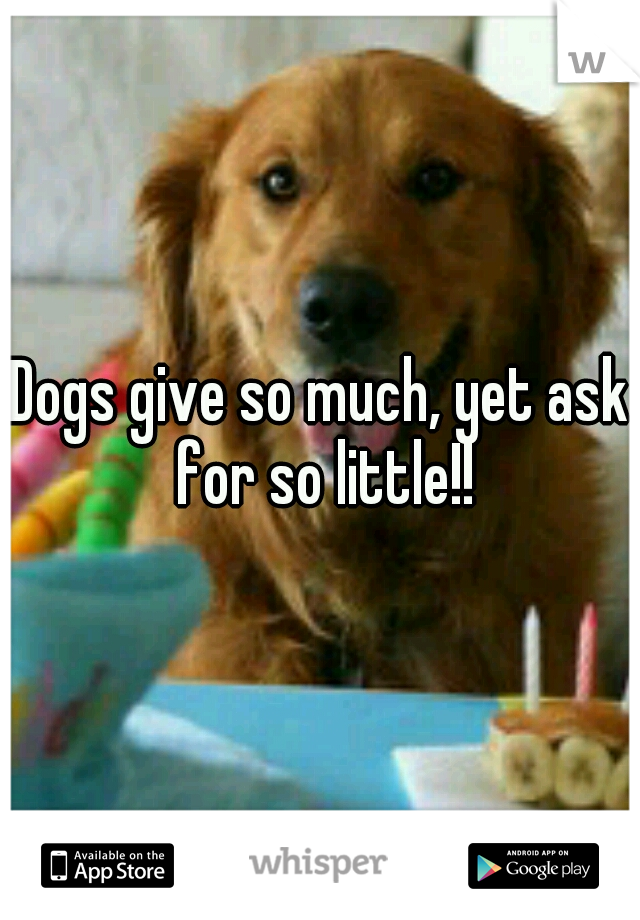 Dogs give so much, yet ask for so little!!