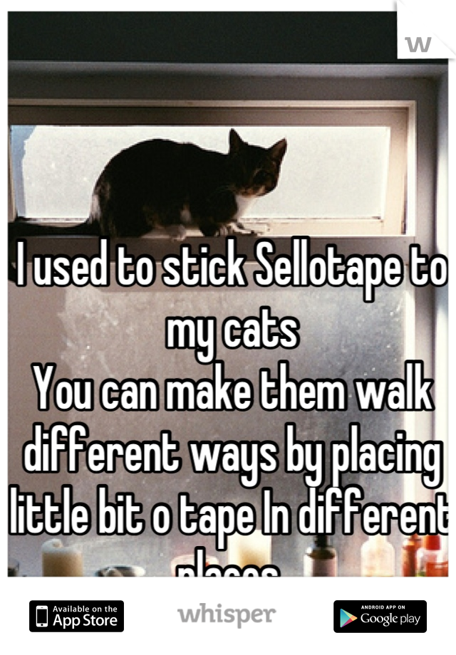 I used to stick Sellotape to my cats
You can make them walk different ways by placing little bit o tape In different places 