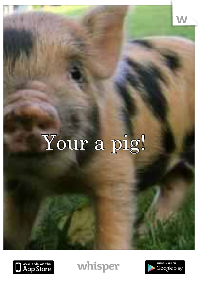 Your a pig!  