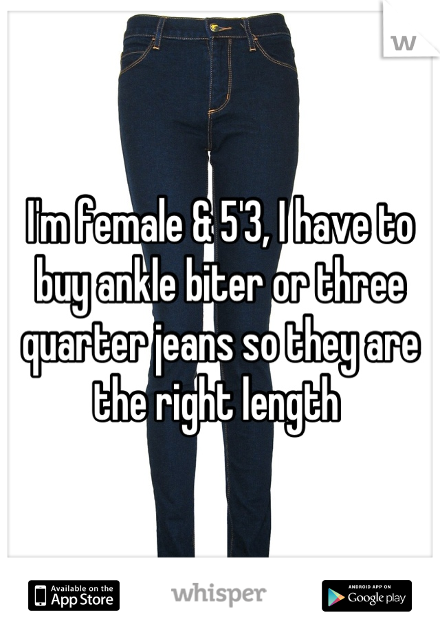 I'm female & 5'3, I have to buy ankle biter or three quarter jeans so they are the right length 