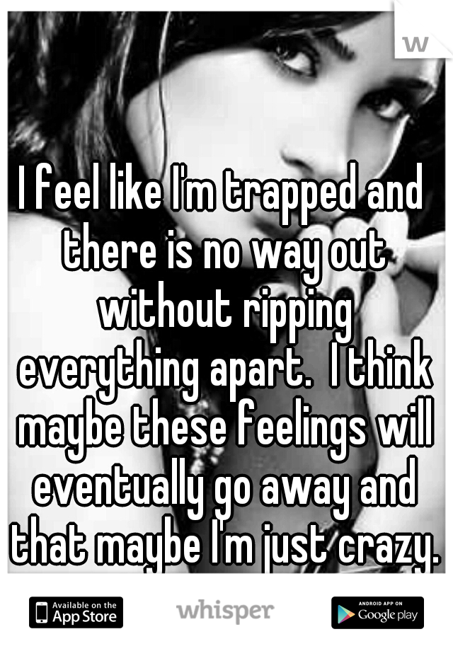 I feel like I'm trapped and there is no way out without ripping everything apart.  I think maybe these feelings will eventually go away and that maybe I'm just crazy.