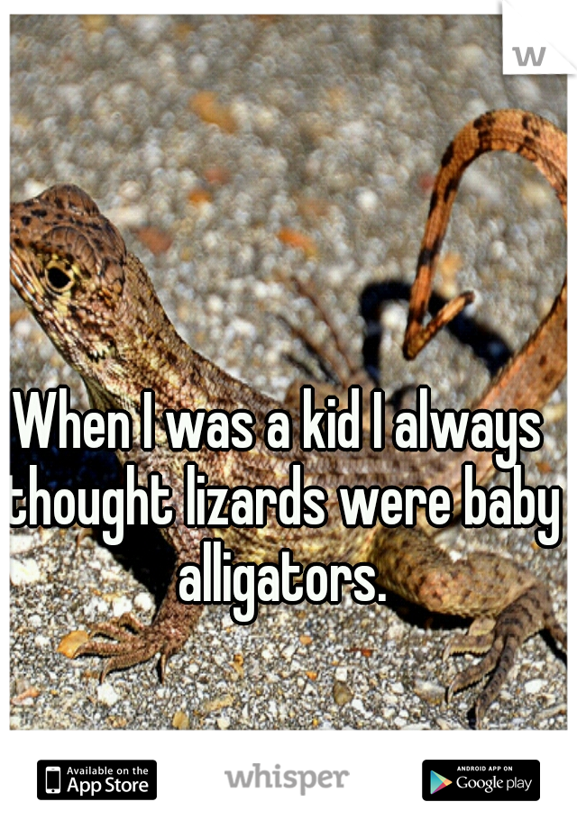 When I was a kid I always thought lizards were baby alligators.