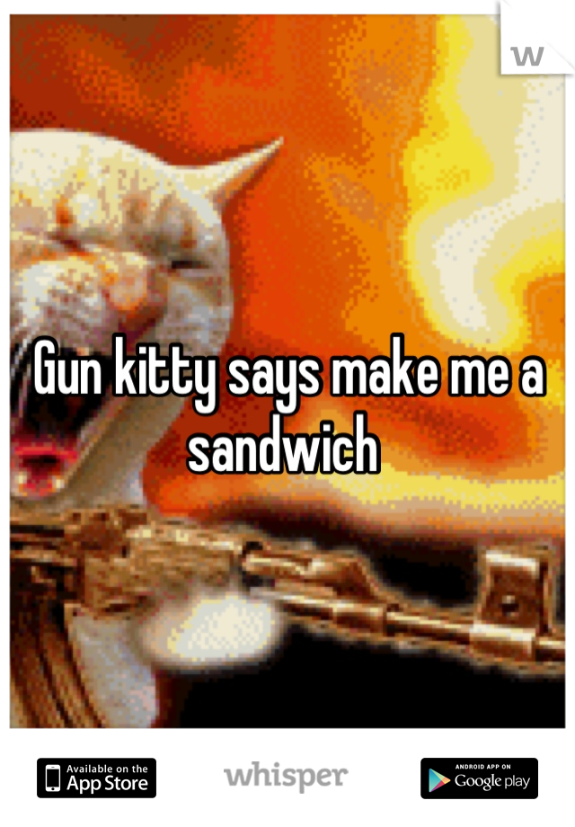 Gun kitty says make me a sandwich 