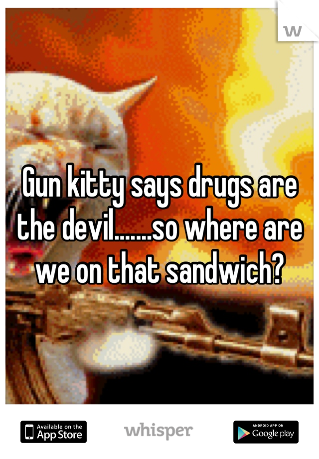 Gun kitty says drugs are the devil.......so where are we on that sandwich?