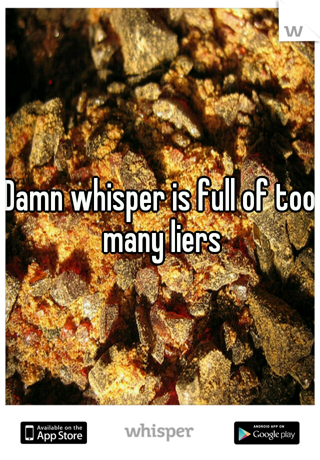 Damn whisper is full of too many liers