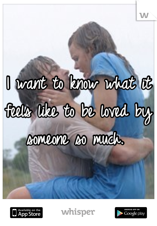 I want to know what it feels like to be loved by someone so much. 