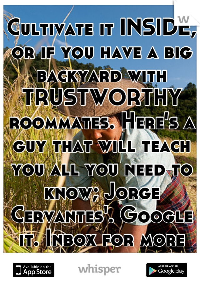 Cultivate it INSIDE, or if you have a big backyard with TRUSTWORTHY roommates. Here's a guy that will teach you all you need to know; Jorge Cervantes'. Google it. Inbox for more details.