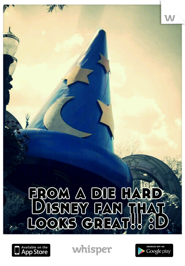 from a die hard Disney fan that looks great!! :D