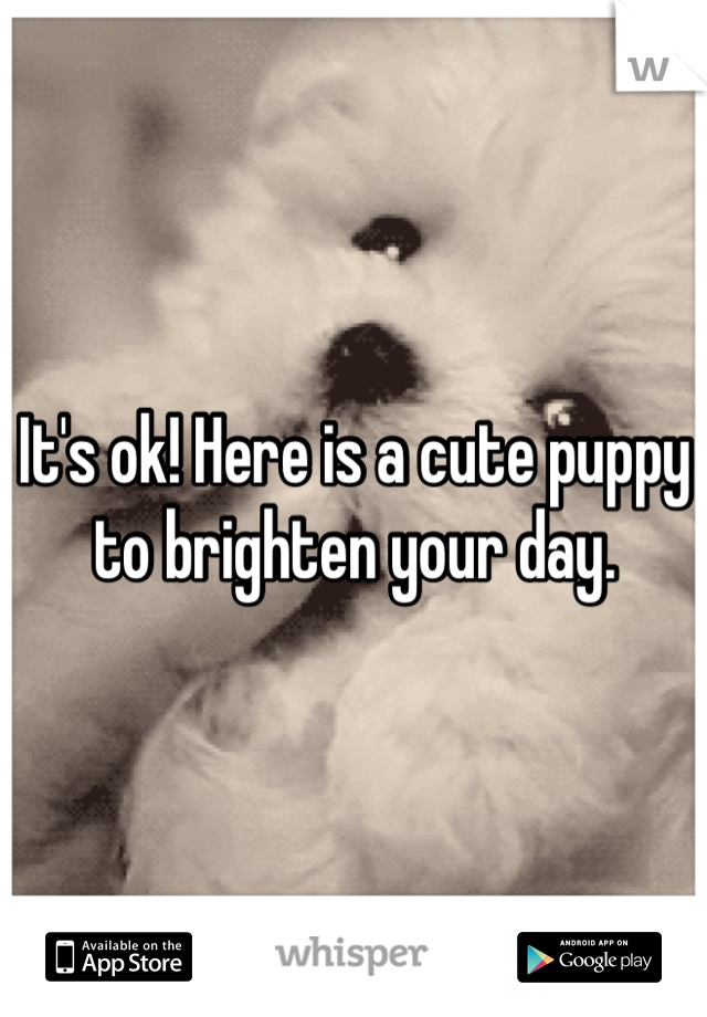 It's ok! Here is a cute puppy to brighten your day.