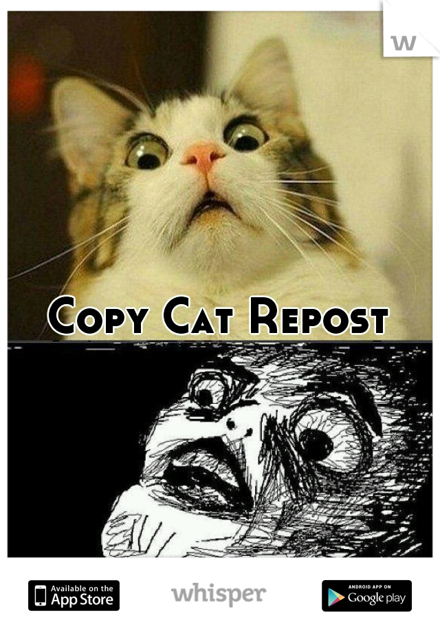 Copy Cat Repost