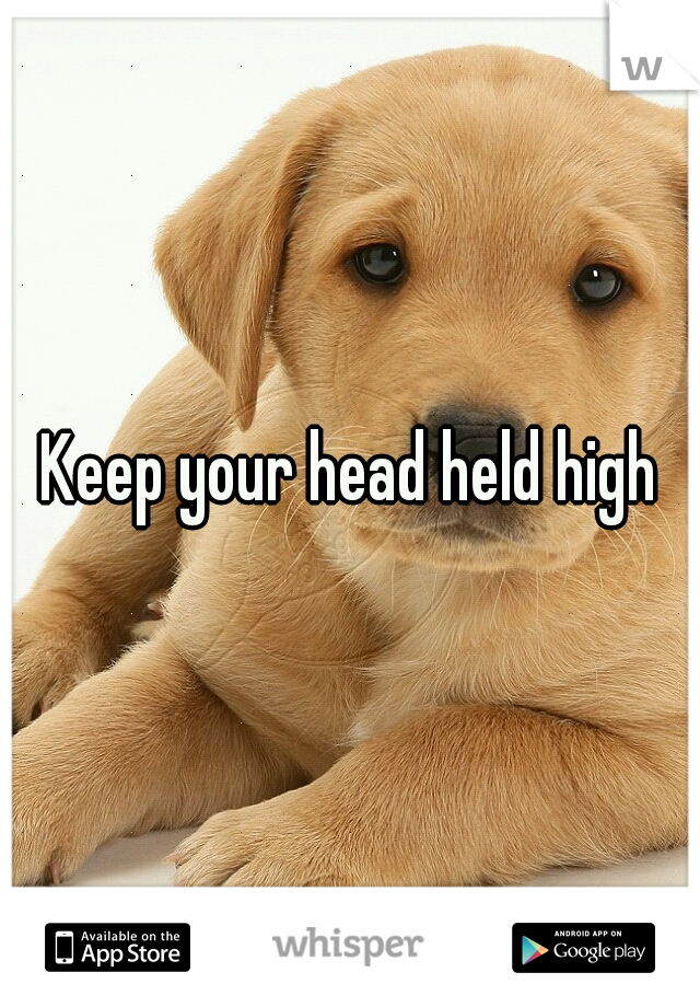 Meaning Of Keep Your Head Held High