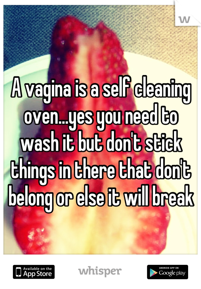 A vagina is a self cleaning oven...yes you need to wash it but don't stick things in there that don't belong or else it will break