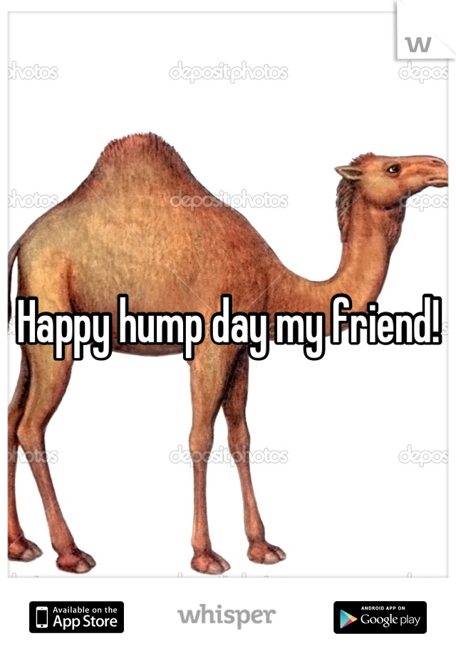 Happy hump day my friend!