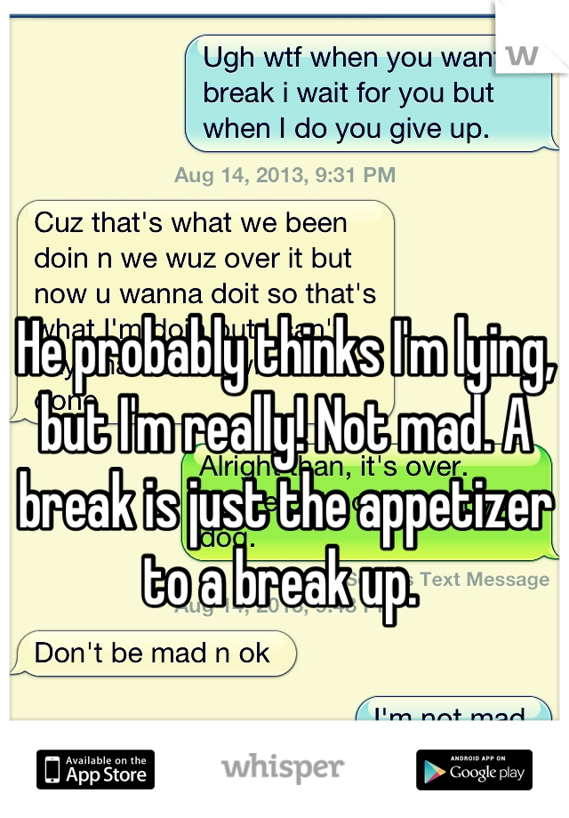 He probably thinks I'm lying, but I'm really! Not mad. A break is just the appetizer to a break up. 