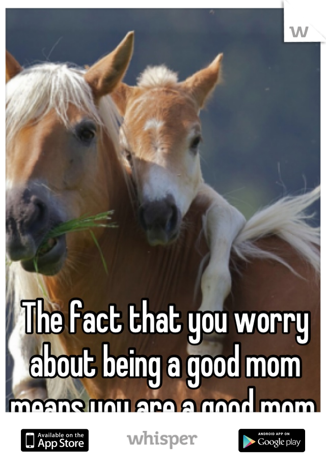The fact that you worry about being a good mom means you are a good mom.