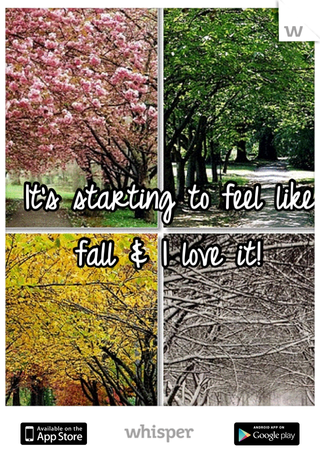 It's starting to feel like fall & I love it!