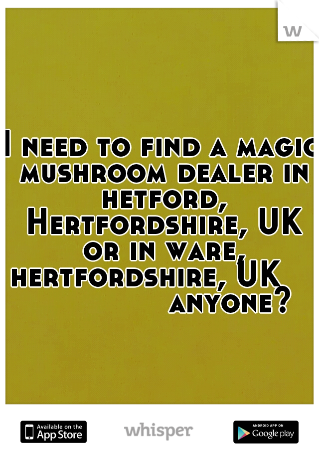 I need to find a magic mushroom dealer in hetford, Hertfordshire, UK or in ware, hertfordshire, UK                   anyone?