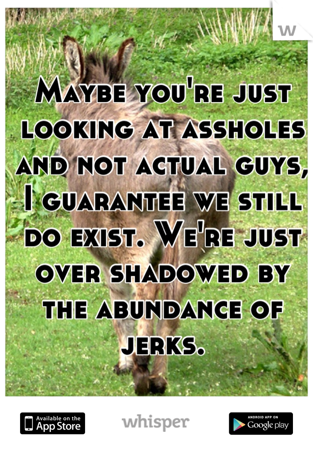 Maybe you're just looking at assholes and not actual guys, I guarantee we still do exist. We're just over shadowed by the abundance of jerks.