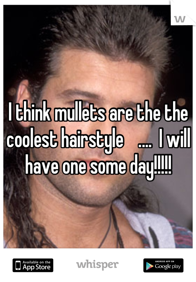 I think mullets are the the coolest hairstyle    ....  I will have one some day!!!!!