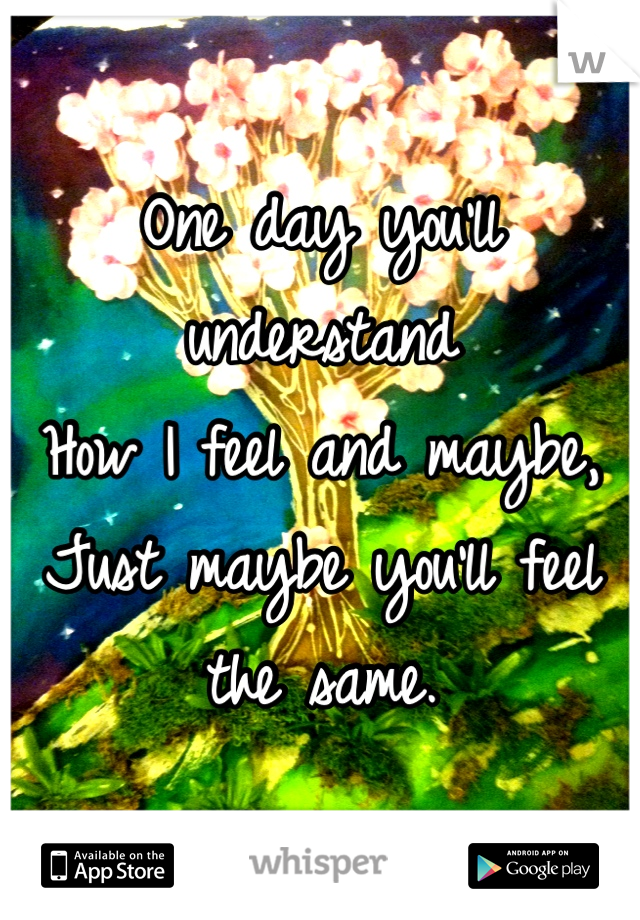 One day you'll understand 
How I feel and maybe,
Just maybe you'll feel the same.