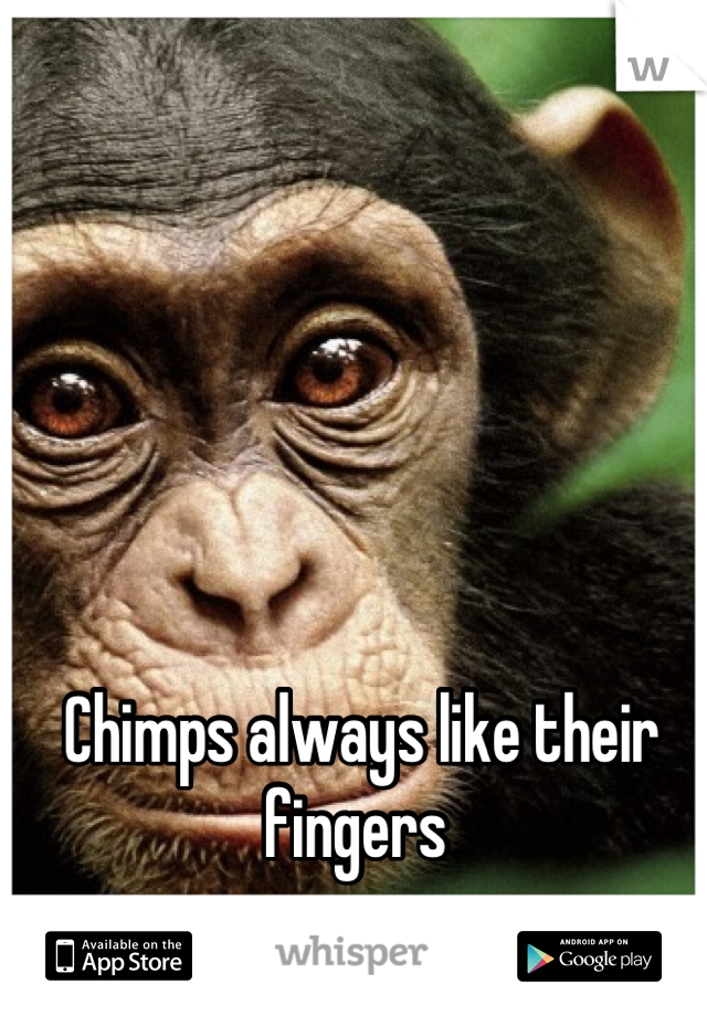 Chimps always like their fingers 