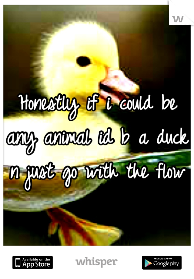 Honestly if i could be any animal id b a duck n just go with the flow