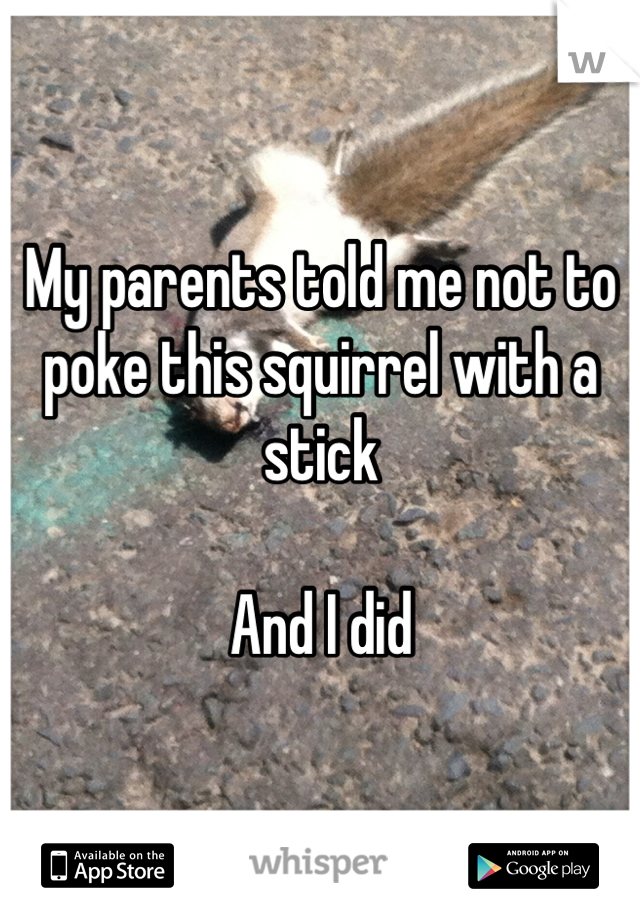 My parents told me not to poke this squirrel with a stick

And I did