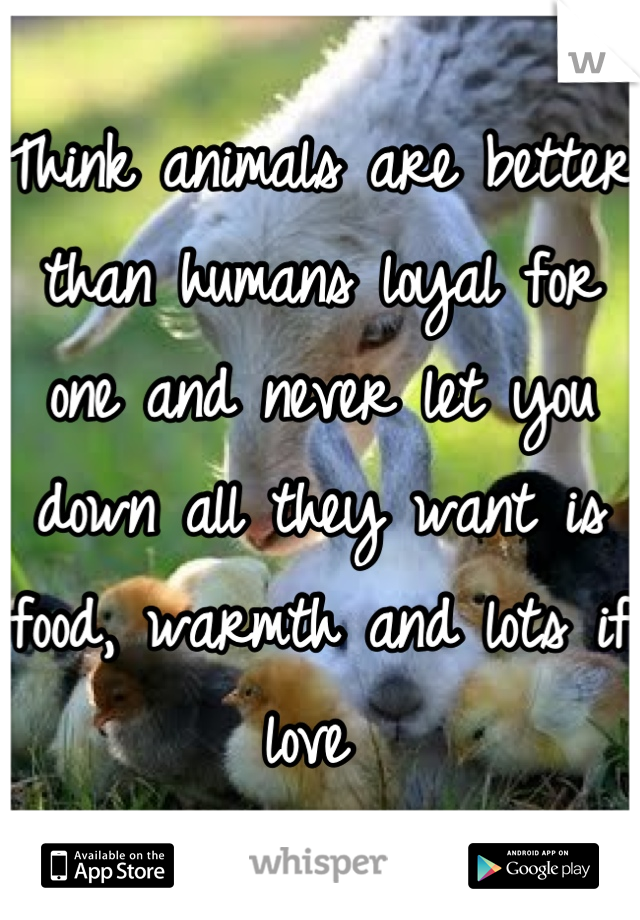 Think animals are better than humans loyal for one and never let you down all they want is food, warmth and lots if love 