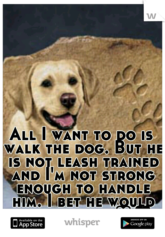 All I want to do is walk the dog. But he is not leash trained and I'm not strong enough to handle him. I bet he would love a walk. ♡♥