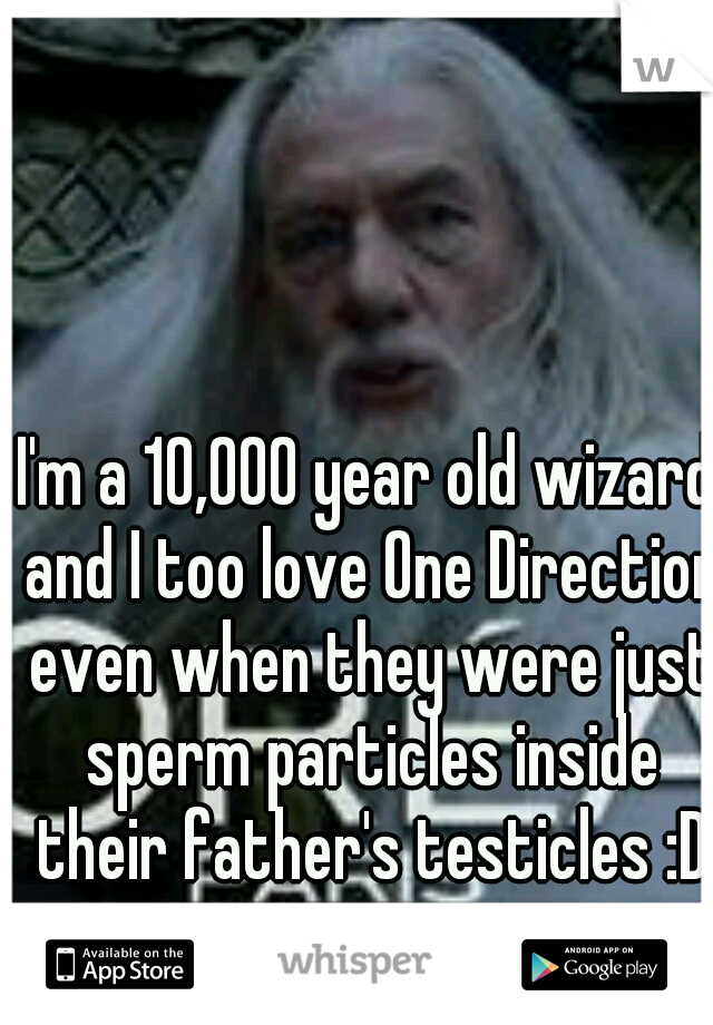 I'm a 10,000 year old wizard and I too love One Direction even when they were just sperm particles inside their father's testicles :D
