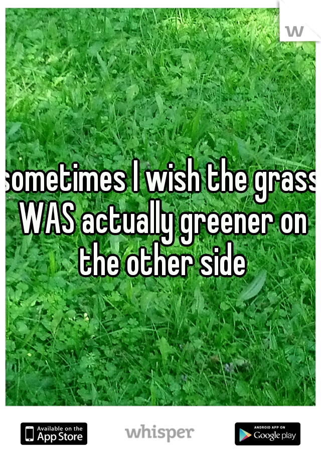 sometimes I wish the grass WAS actually greener on the other side