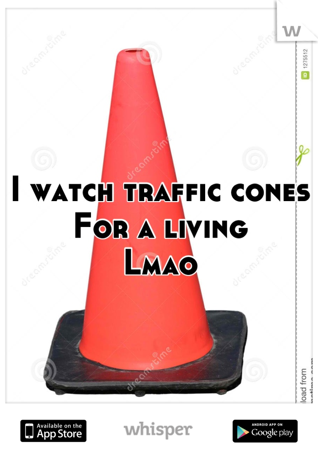 I watch traffic cones
For a living 
Lmao