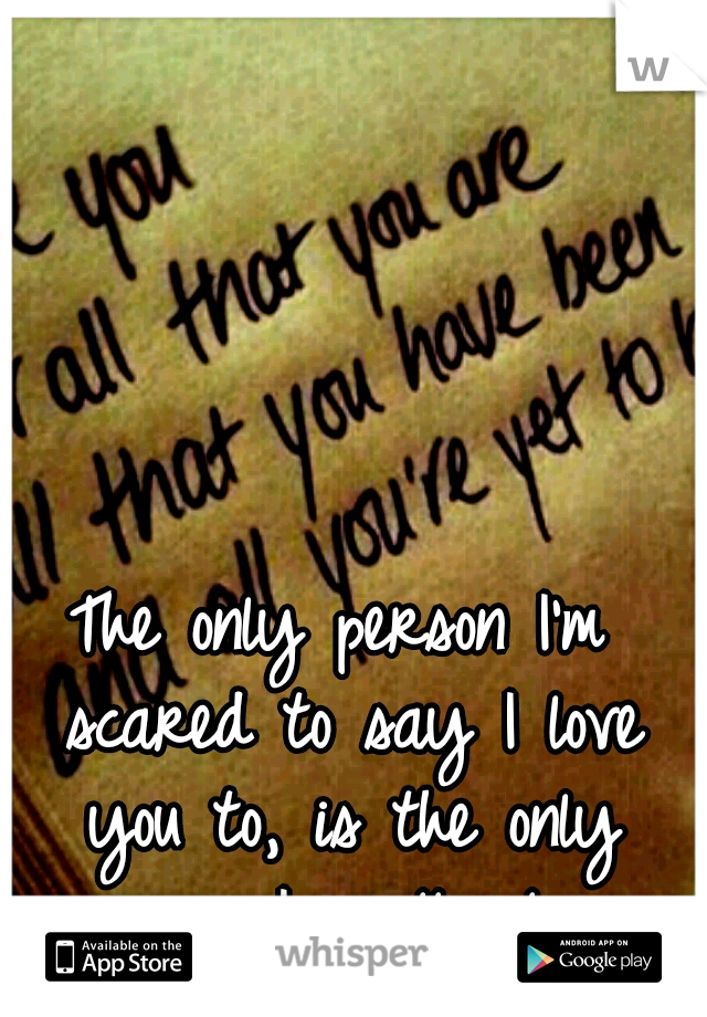 The only person I'm scared to say I love you to, is the only person I really love.