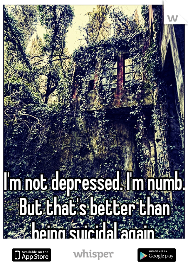 I'm not depressed. I'm numb. But that's better than being suicidal again.
