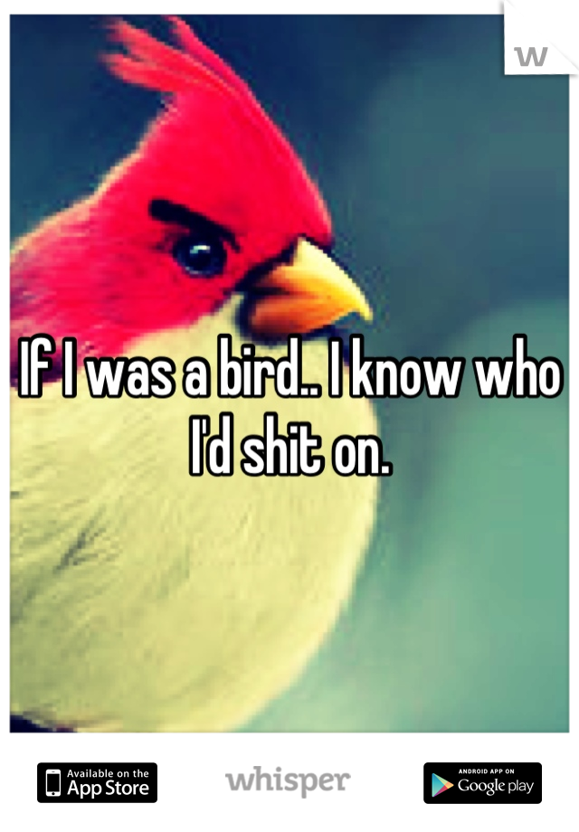 If I was a bird.. I know who I'd shit on.