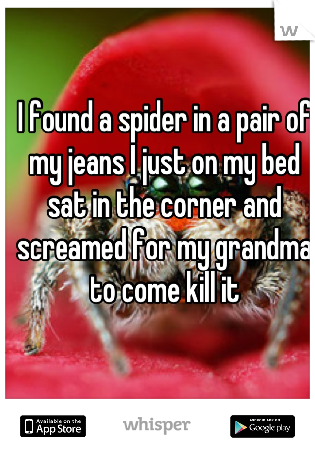 I found a spider in a pair of my jeans I just on my bed sat in the corner and screamed for my grandma to come kill it