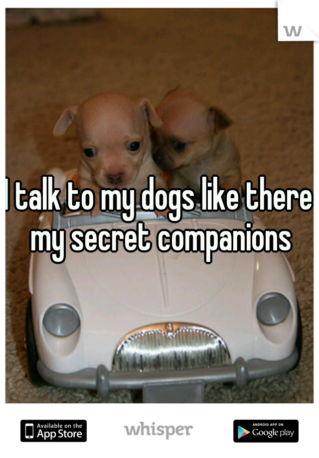 I talk to my dogs like there my secret companions