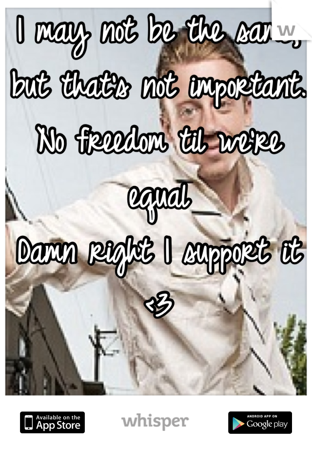 I may not be the same, but that's not important. 
No freedom til we're equal
Damn right I support it <3

Loveislove 