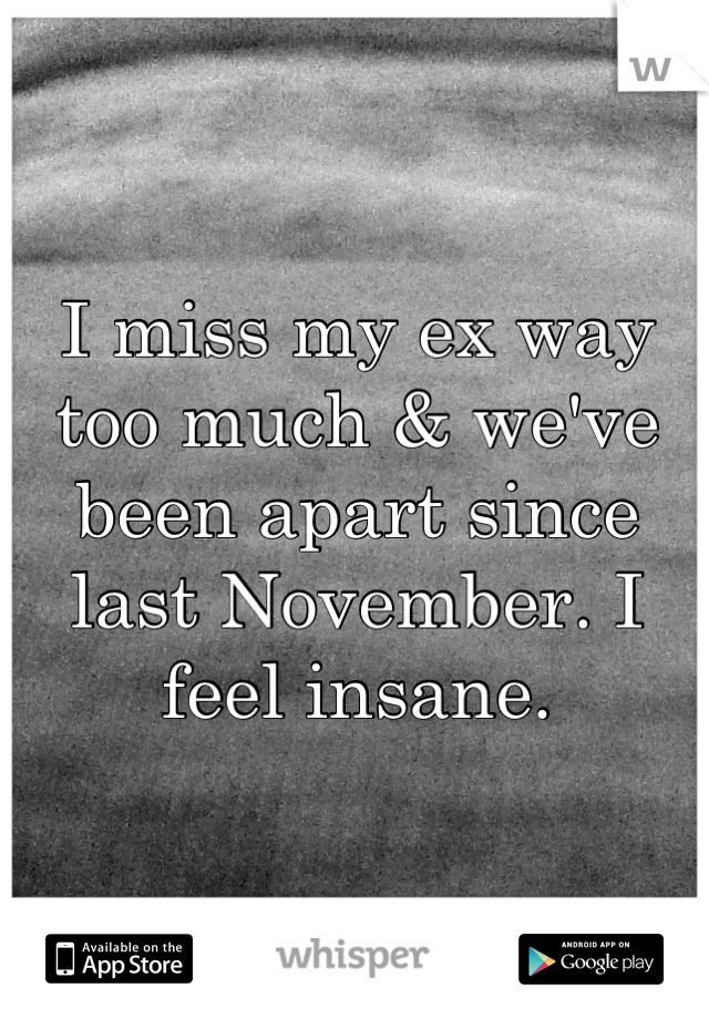 I miss my ex way too much & we've been apart since last November. I feel insane.