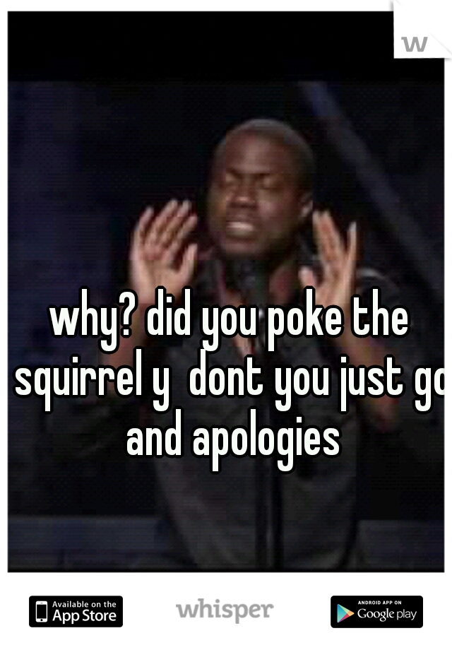 why? did you poke the squirrel y  dont you just go and apologies