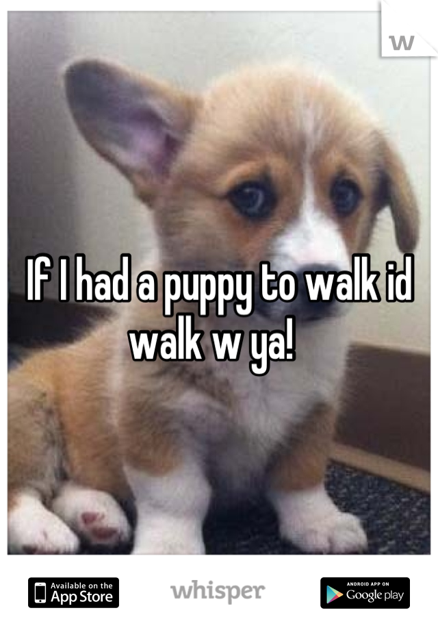 If I had a puppy to walk id walk w ya!  