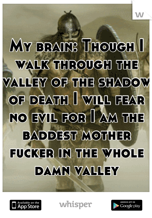 My brain: Though I walk through the valley of the shadow of death I will fear no evil for I am the baddest mother fucker in the whole damn valley