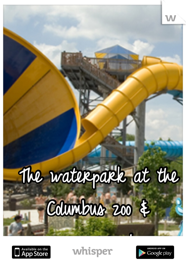 The waterpark at the Columbus zoo & aquarium!