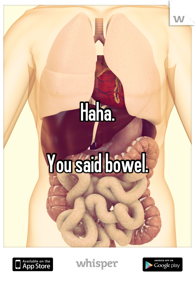 Haha.

You said bowel.