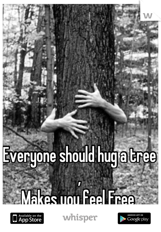 Everyone should hug a tree , 
Makes you feel Free 