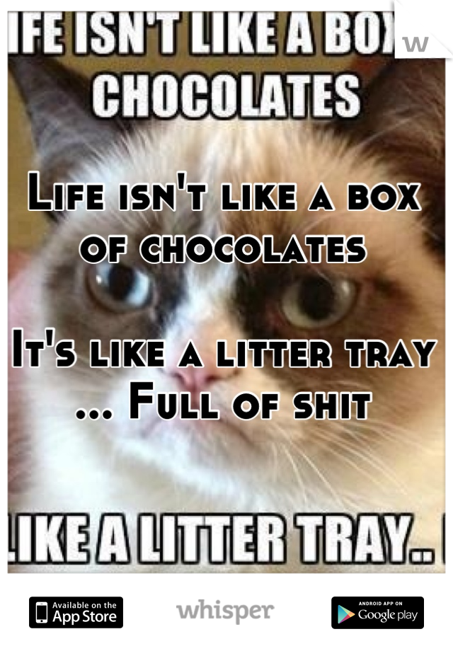 Life isn't like a box of chocolates

It's like a litter tray ... Full of shit